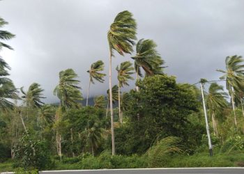 Peningkatan Suhu Bumi Picu Risiko Kekeringan dan Angin Kencang