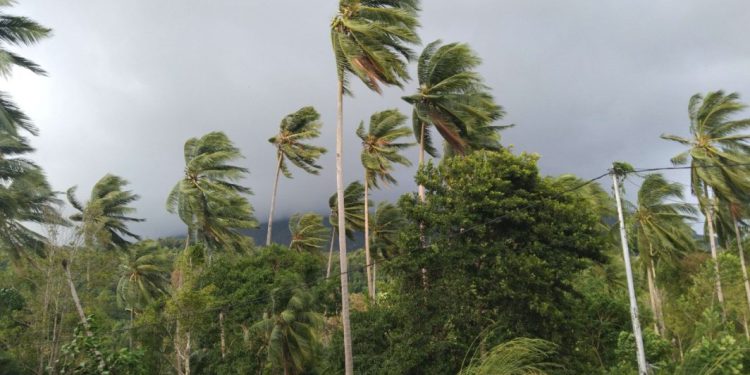 Peningkatan Suhu Bumi Picu Risiko Kekeringan dan Angin Kencang