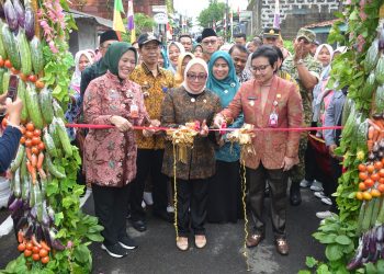 Plt. Bupati Cilacap Tekankan Penguatan Ekonomi Lokal dalam Peresmian RBI