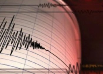 Gempa Magnitudo 3.0 Guncang Wilayah Tambrauw, Papua Barat