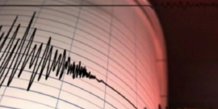 Gempa Magnitudo 3.0 Guncang Wilayah Tambrauw, Papua Barat