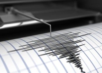 Gempa Magnitudo 3.1 Guncang Intan Jaya, Papua