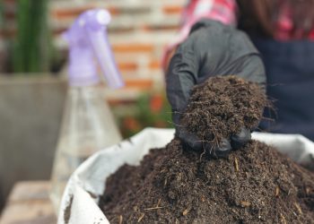 Konflik Iran Memicu Krisis Pupuk, Peluang untuk Produksi Pupuk Organik