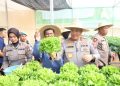 Polda Kepri Lakukan Panen Perdana Sayuran Hidroponik untuk Ketahanan Pangan