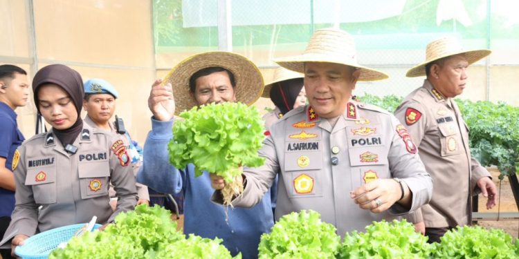 Polda Kepri Lakukan Panen Perdana Sayuran Hidroponik untuk Ketahanan Pangan