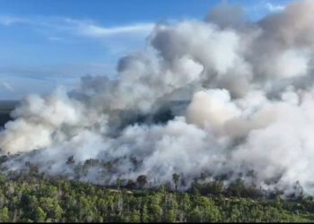 Dosen UGM Dorong Peningkatan Operasi Modifikasi Cuaca dan Sekat Kanal untuk Cegah Karhutla
