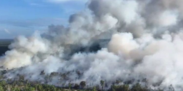 Dosen UGM Dorong Peningkatan Operasi Modifikasi Cuaca dan Sekat Kanal untuk Cegah Karhutla