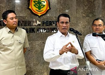 Stok Beras Pemerintah Mencapai 4,3 Juta Ton, Bapanas Tegaskan Ketahanan Pangan