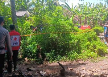 Heboh! Mayat Pria Ditemukan di Kebun Wates, Polisi Ungkap Identitas, Diduga Meninggal 4 Hari