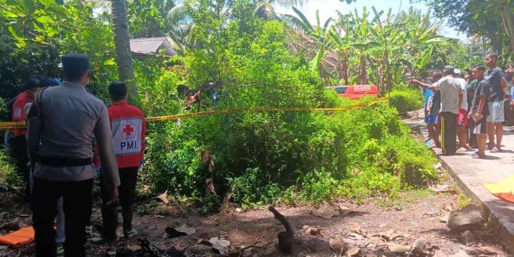 Heboh! Mayat Pria Ditemukan di Kebun Wates, Polisi Ungkap Identitas, Diduga Meninggal 4 Hari