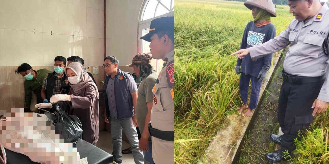 Buruh di Bantul Tewas Tersambar Petir Saat Cari Jerami di Sawah Pundong