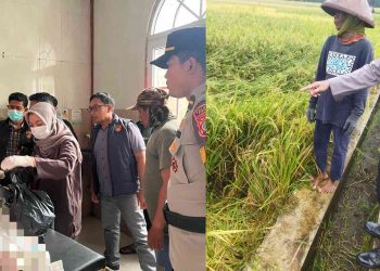 Buruh di Bantul Tewas Tersambar Petir Saat Cari Jerami di Sawah Pundong