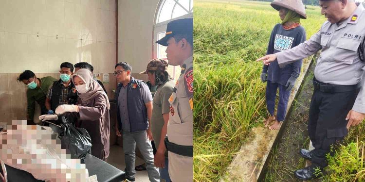 Buruh di Bantul Tewas Tersambar Petir Saat Cari Jerami di Sawah Pundong