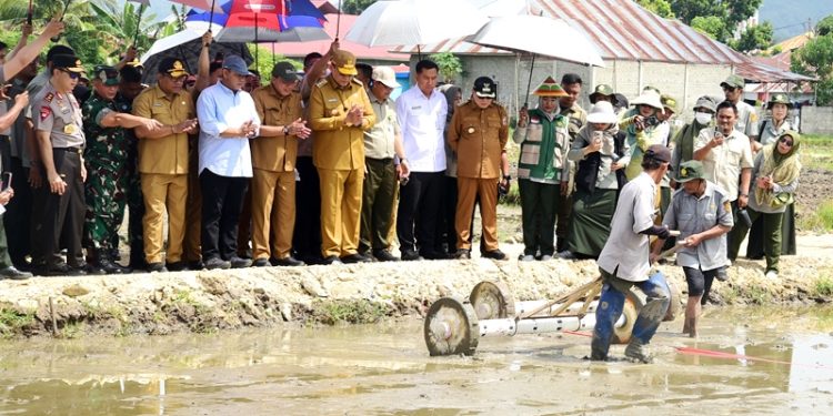 Gubernur Gorontalo Mulai Penanaman Padi Inpago 12 untuk PENAS 2026