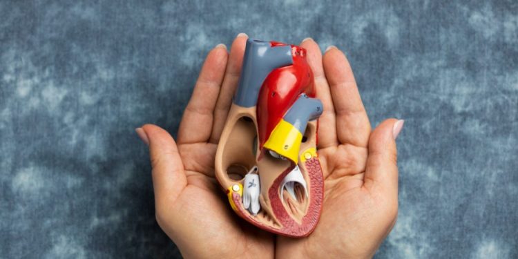 Pentingnya Deteksi Dini Gejala Kanker Ginjal