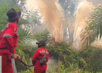 Personel Manggala Agni Siak Meninggal Saat Bertugas Memadamkan Karhutla