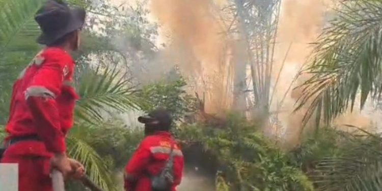 Personel Manggala Agni Siak Meninggal Saat Bertugas Memadamkan Karhutla