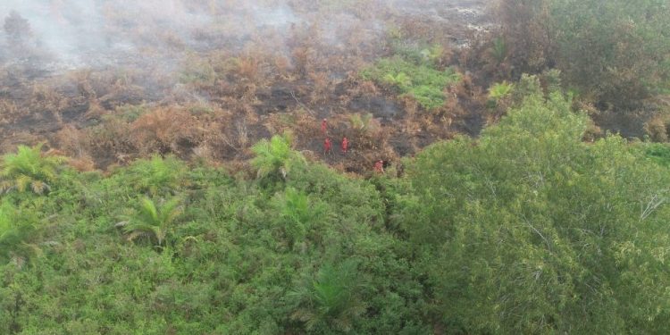 Deteksi 15 Titik Api di Riau, Bengkalis Paling Banyak