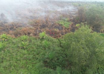 Penanganan Intensif Tiga Klaster Karhutla di Riau