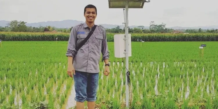 Ancaman Godzilla El Nino terhadap Pertanian Indonesia dan Strategi Mitigasi dari Pakar UGM