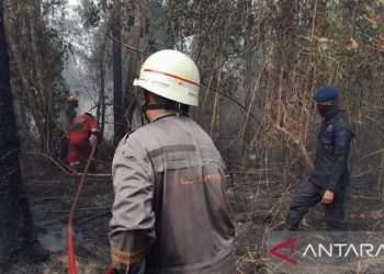 Polda Kepulauan Riau Selidiki Penyebab Kebakaran Hutan di Batam dan Sekitarnya