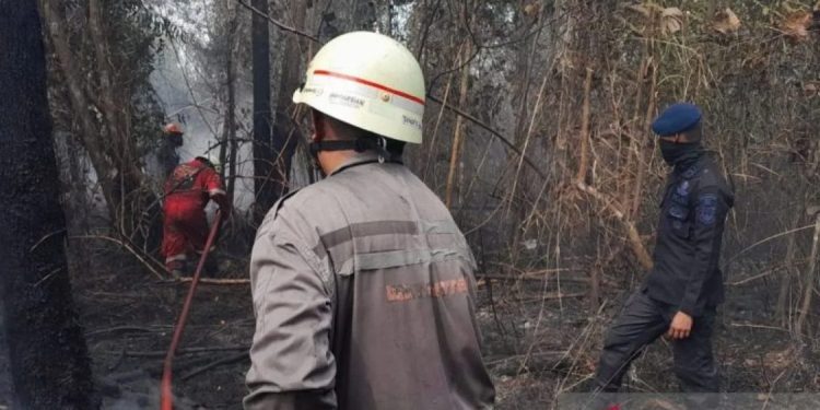 Polda Kepulauan Riau Selidiki Penyebab Kebakaran Hutan di Batam dan Sekitarnya
