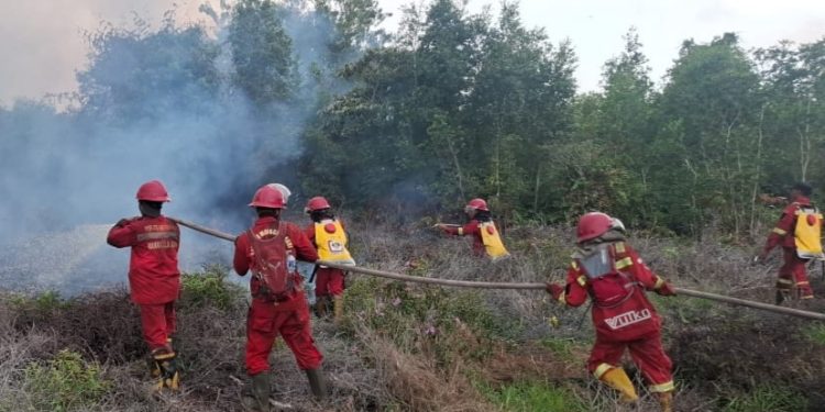 Pemadaman Karhutla di Riau Difokuskan untuk Lindungi Permukiman