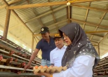 Bupati Siak Puji Peran Bumkam dalam Mendukung Ketahanan Pangan