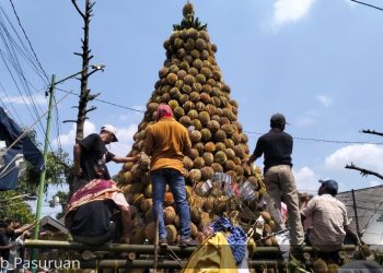 Desa Kronto Gelar Selamatan dengan 1000 Durian di Pasuruan