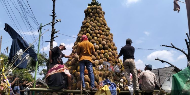 Desa Kronto Gelar Selamatan dengan 1000 Durian di Pasuruan