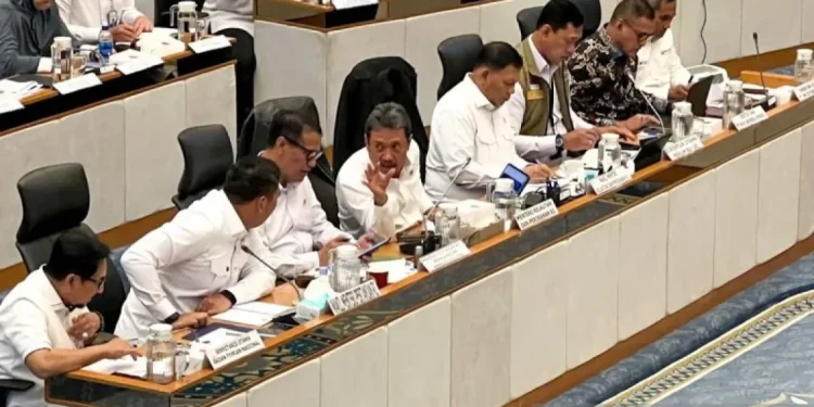 Menteri Pertanian Pastikan Stok Beras Nasional Aman Hadapi Tantangan Global