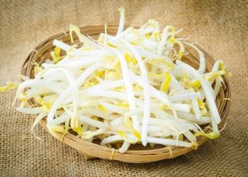 Manfaat Konsumsi Toge bagi Ibu Hamil yang Perlu Diketahui