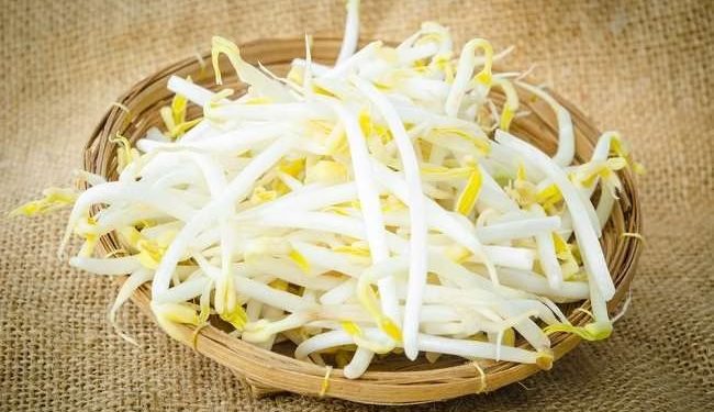 Manfaat Konsumsi Toge bagi Ibu Hamil yang Perlu Diketahui