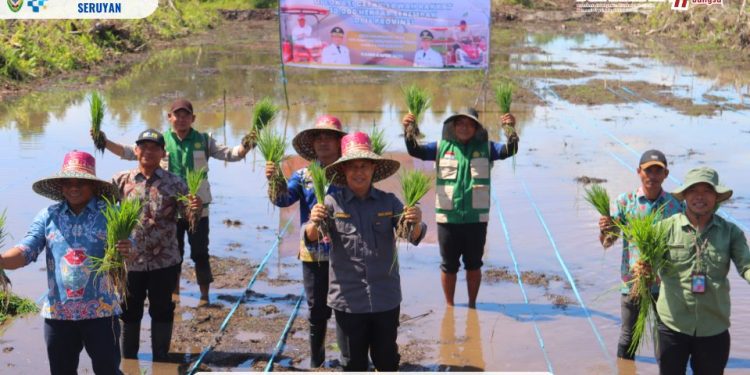 Pemkab Seruyan Laksanakan Percepatan Tanam Padi Serentak untuk Ketahanan Pangan