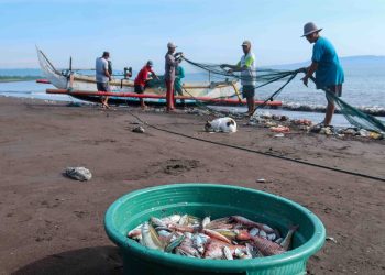 BRIN Temukan Faktor Penguat Upwelling di Selatan Jawa, Potensi Ikan Meningkat