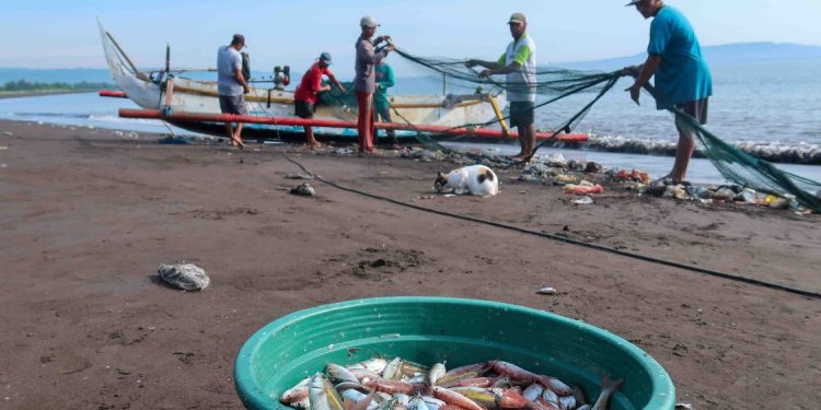 BRIN Temukan Faktor Penguat Upwelling di Selatan Jawa, Potensi Ikan Meningkat