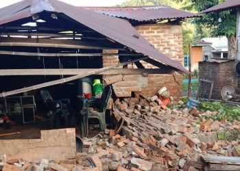 Gempa Magnitudo 4,7 Guncang Flores Timur, Lima Warga Alami Luka Berat