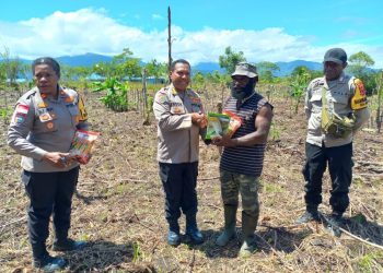 Kombes Pol Andi Yoseph Enock Serahkan Bibit Jagung di Distrik Kobakma