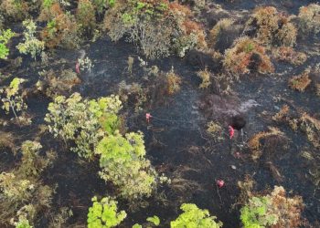 Polisi Tetapkan Tersangka dalam Kasus Kebakaran 35 Hektare Lahan di Bengkalis