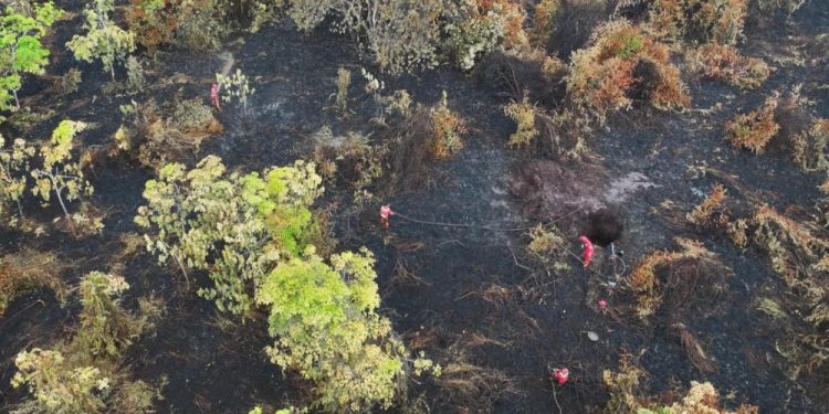 Polisi Tetapkan Tersangka dalam Kasus Kebakaran 35 Hektare Lahan di Bengkalis