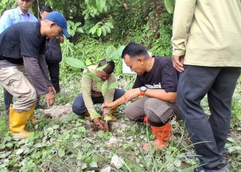 Wabup Parigi Moutong Pimpin Penanaman Pohon untuk Mitigasi Bencana
