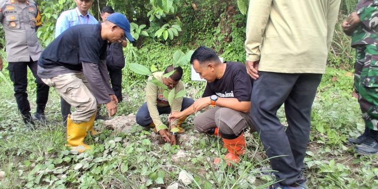 Wabup Parigi Moutong Pimpin Penanaman Pohon untuk Mitigasi Bencana