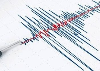 Gempa Magnitudo 4,0 Mengguncang Maluku Tenggara Barat