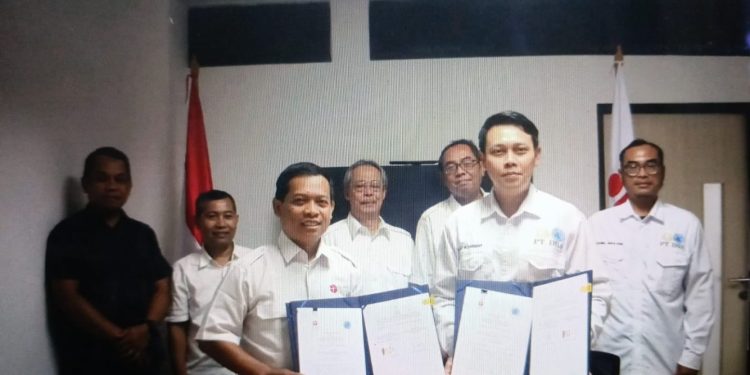 Kolaborasi BRIN dan PT IBIS Tingkatkan Varietas Ikan Nila Unggul