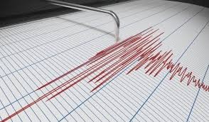 Gempa Magnitudo 4,8 Guncang Wilayah Barat Laut Ternate