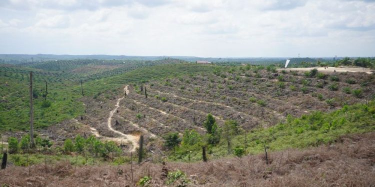 Pemkab Pelalawan Pastikan Akses Dokumen Kependudukan bagi Warga Relokasi TNTN