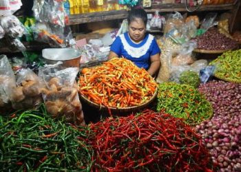 Harga Bahan Pokok di Palangka Raya Tetap Stabil Meski Ada Tekanan Inflasi