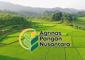 Kebijakan Penugasan Agrinas dalam Koperasi Merah Putih Dipertanyakan