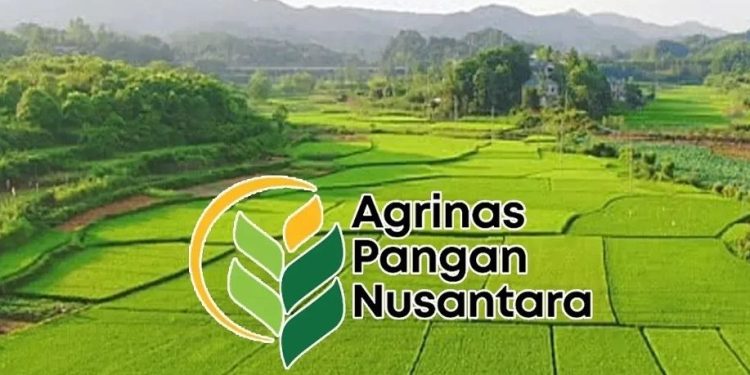 Kebijakan Penugasan Agrinas dalam Koperasi Merah Putih Dipertanyakan