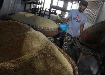 Pemerintah Tegaskan Harga Kedelai Tetap Stabil untuk Lindungi Pengrajin Tahu Tempe